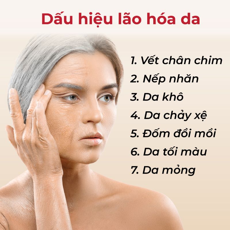 dấu hiệu lão hóa da